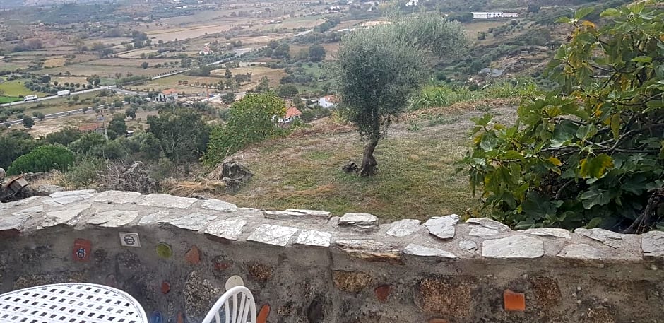 Branca Gonçalves Belmonte