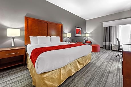 1 King Bed Suite Nonsmoking