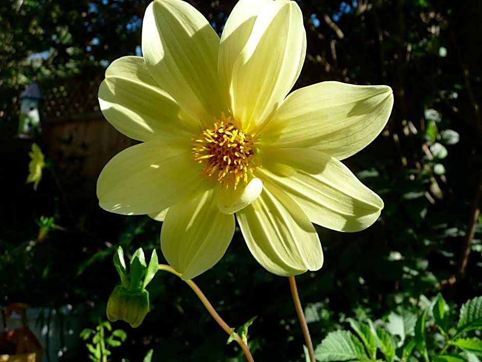 Cycle Inn Bed and Breakfast