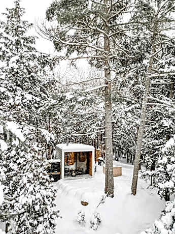 Aux Box Muskoka Modern Muskoka Bunkie
