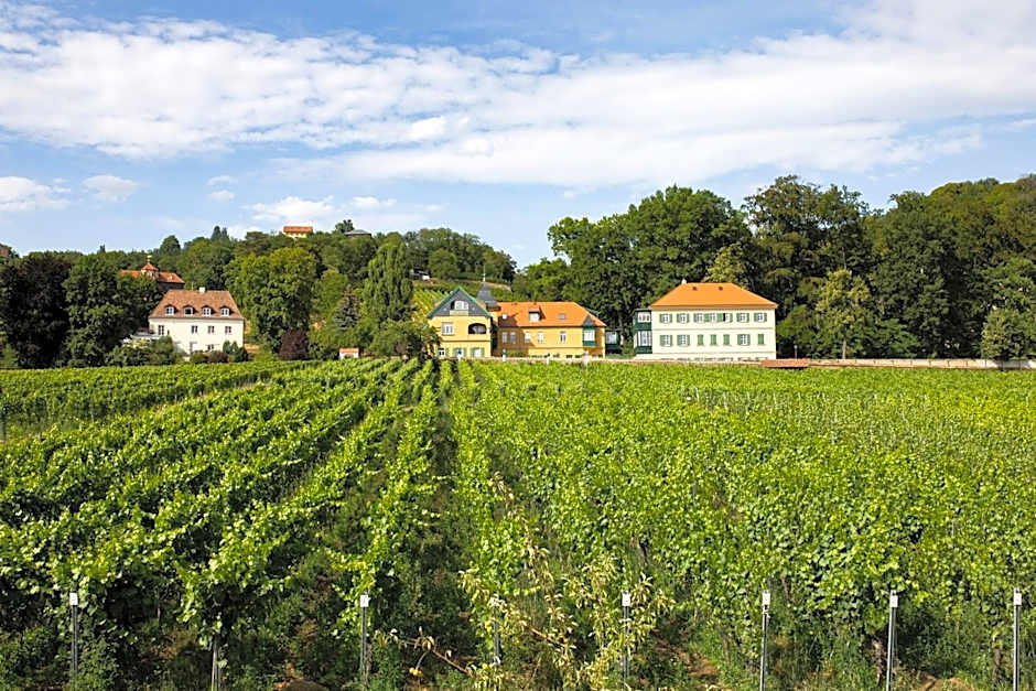 Weingut Haus Steinbach