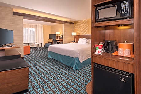 Suite, 1 King Bed with Sofa bed (1 King Bed and 1 Double Sofa Bed)