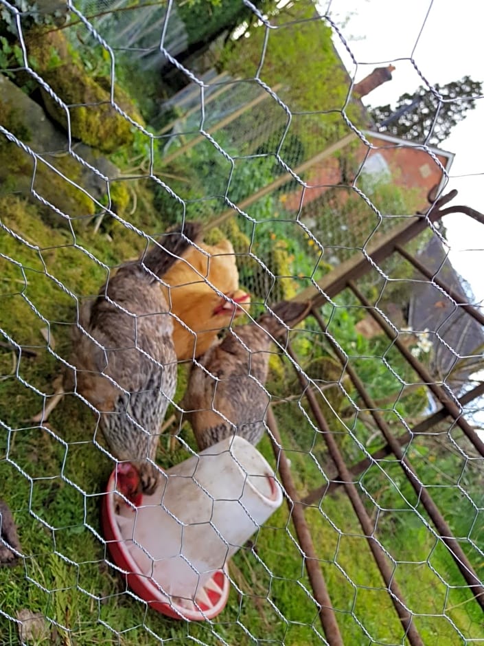 The Dorm Bed and Breakfast