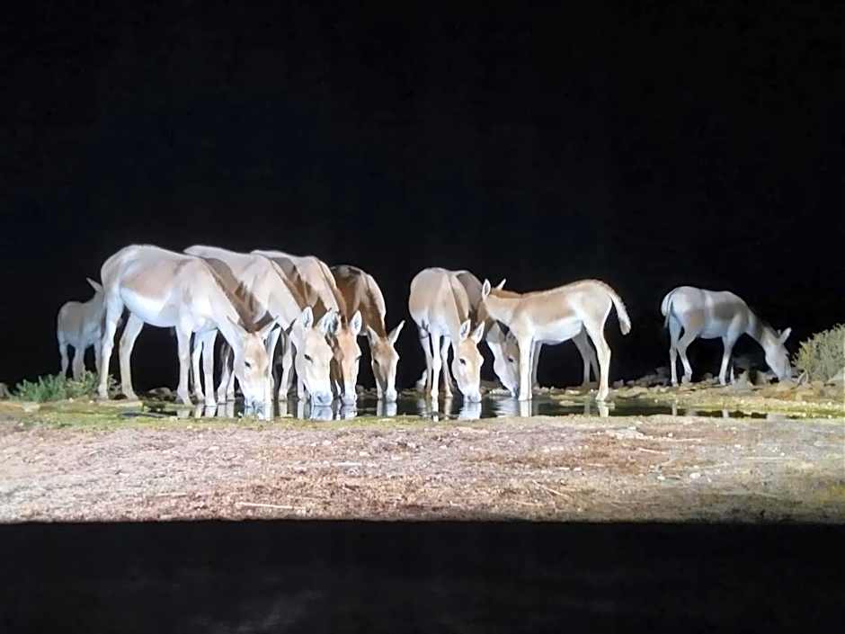 Tobiana Desert Lodging Negev