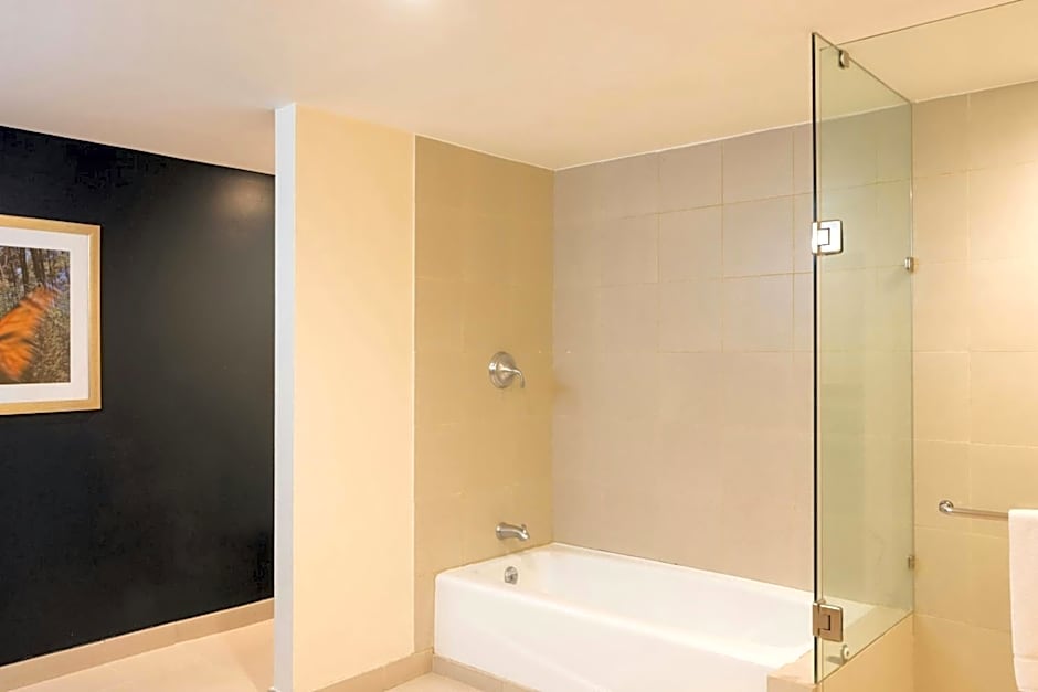 Courtyard by Marriott Toluca Tollocan