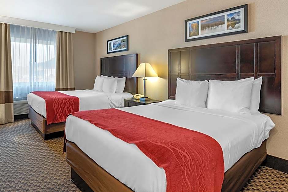 Photo 1 of 4 of 2 Queen Beds, Pet-Friendly