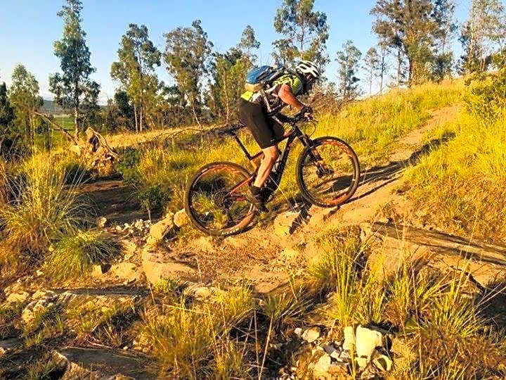 Grey Goose Game Lodge