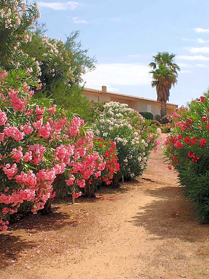Résidence Liccia di Furu