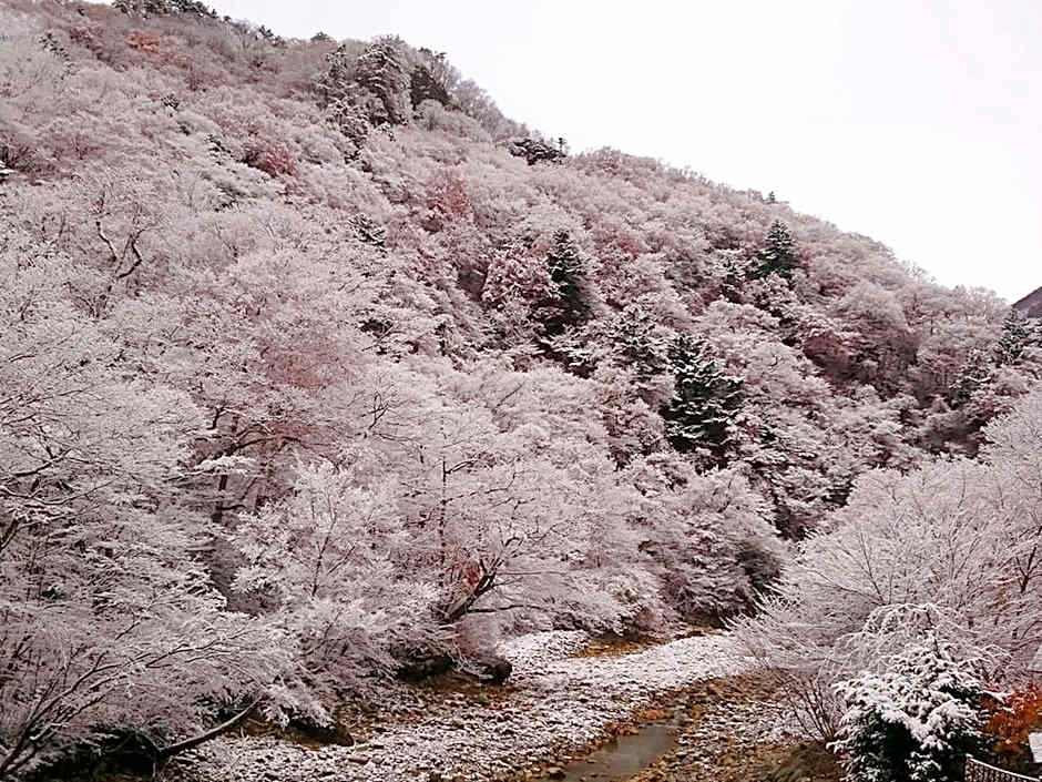 Kawafuru Onsen Hamaya Ryokan