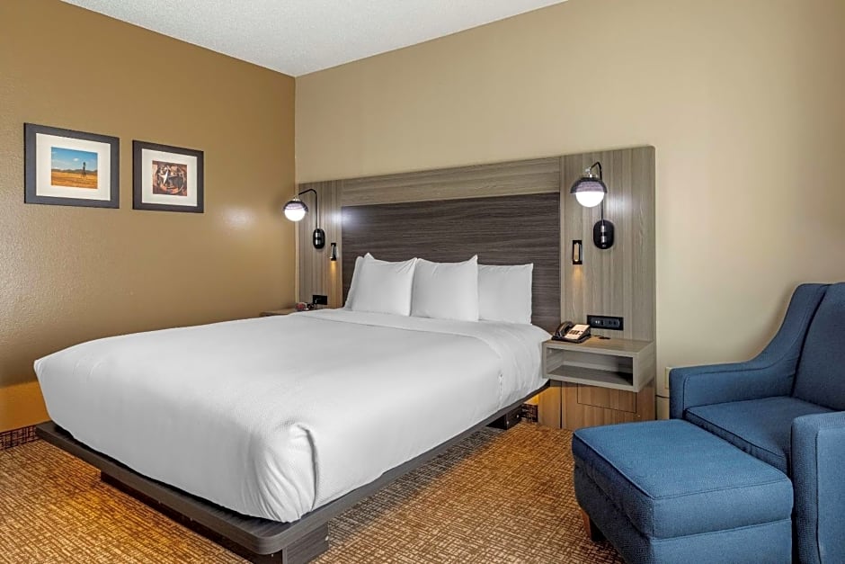 Comfort Inn & Suites North Dallas-Addison