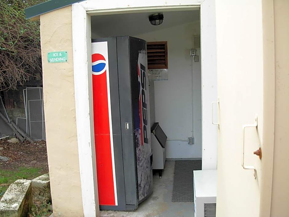 Jumping Frog Motel