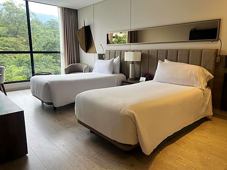 York Medellin, Curio Collection by Hilton