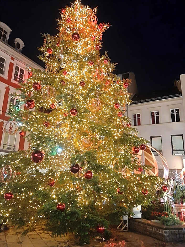 Brit Hotel Mulhouse Centre