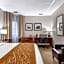 Comfort Inn Syosset-Long Island