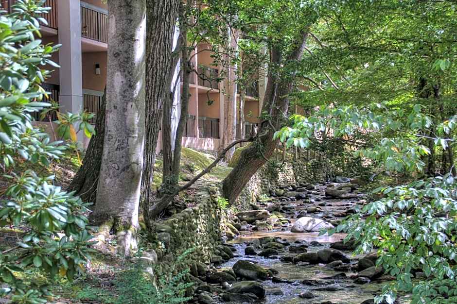 Hampton Inn By Hilton Gatlinburg