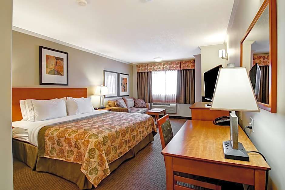 Canalta Jurassic - Drumheller