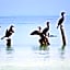La Puerta Azul Beachfront - Adults Only