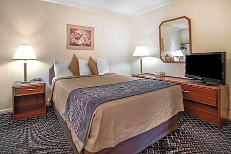 1 King Bed Suite Nonsmoking