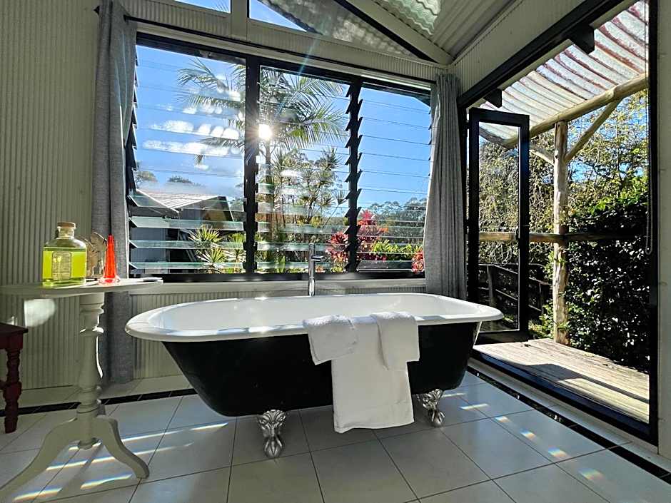 Nightcap Ridge - Byron Bay Hinterland