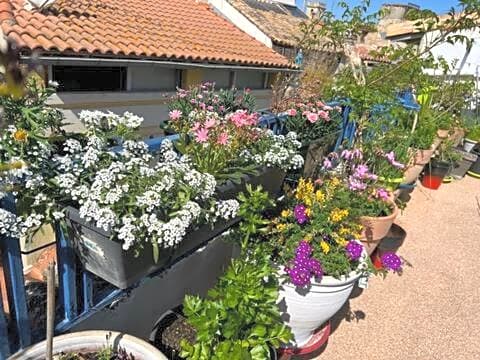 Loft Apartment , La Terrasse Centre Ville d'Arles,