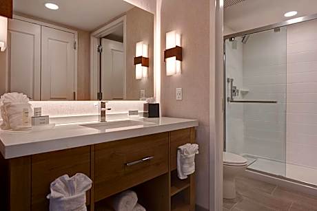 1 King Bed Studio Suite Nonsmoking
