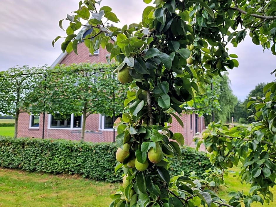 De Schotse Hooglander