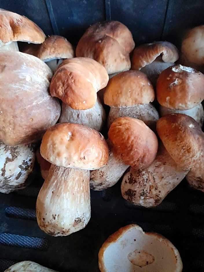 Hotel Ristorante La Baitina