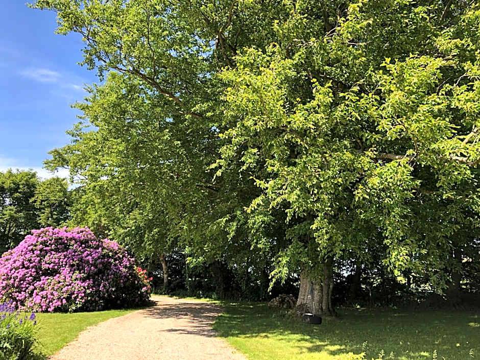 Landevejens B&B Holstebro