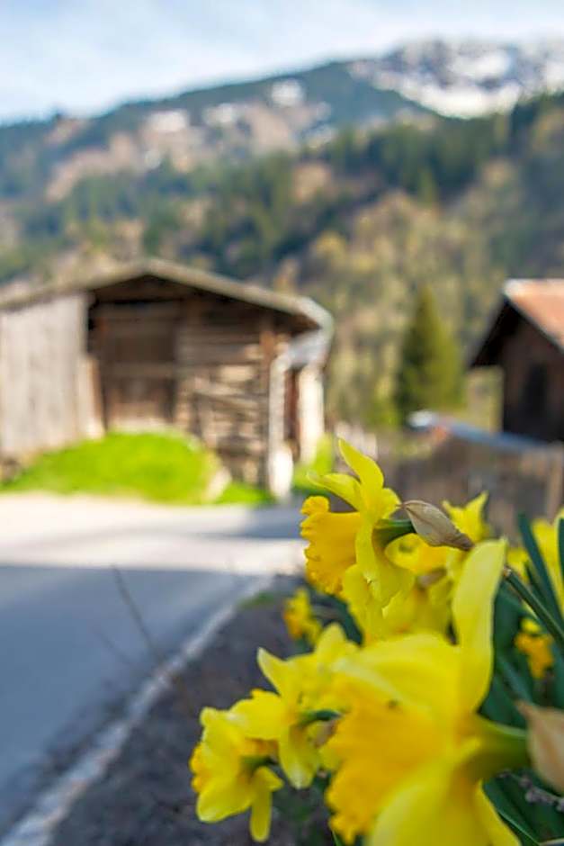 Casa Pasch - Boutique Bed and Breakfast in Cumpadials