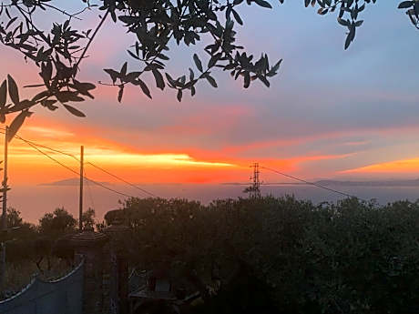 A Sorrento