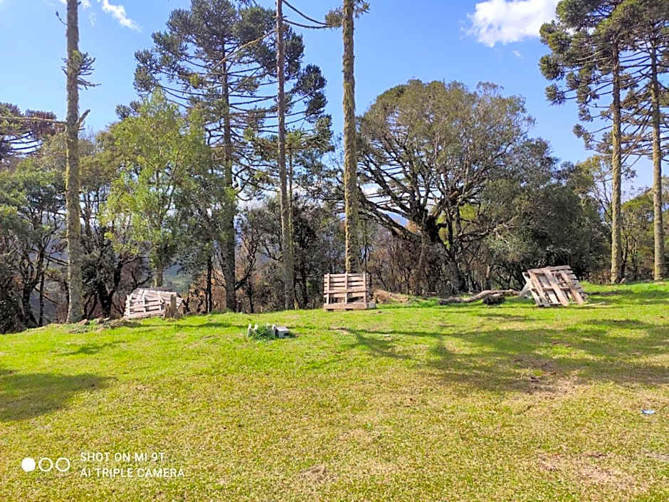 Cabanas das Araucárias