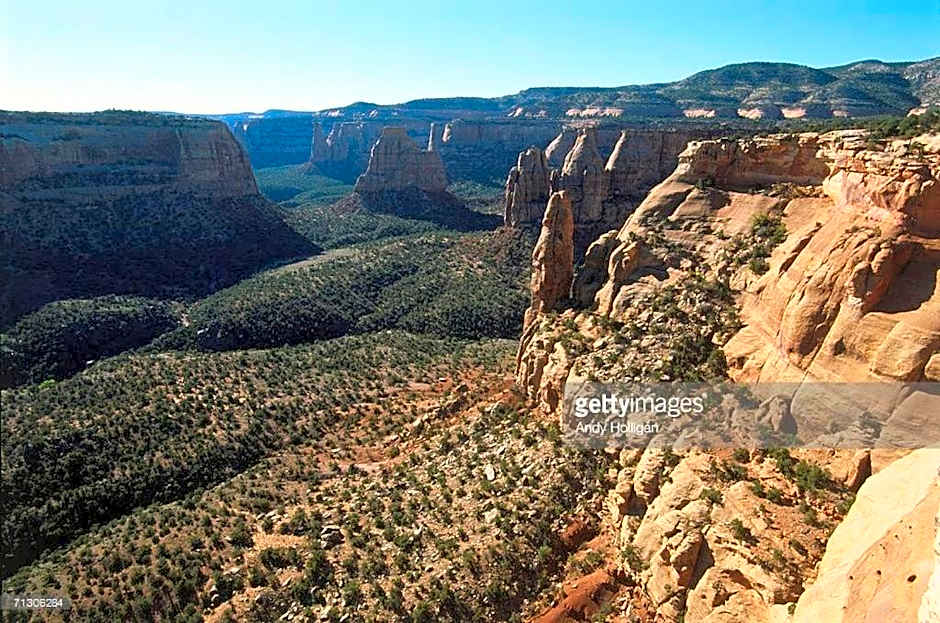 Super 8 by Wyndham Fruita