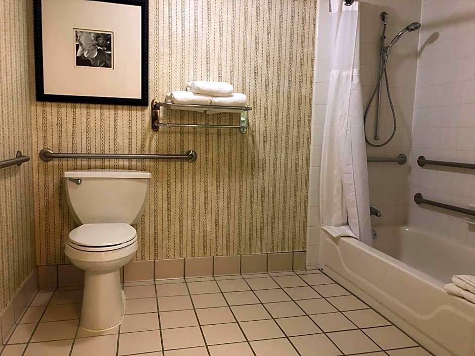 Photo 1 of 2 of 1 King Bed, Mobility Accessible, Bathtub