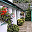 The Willow House