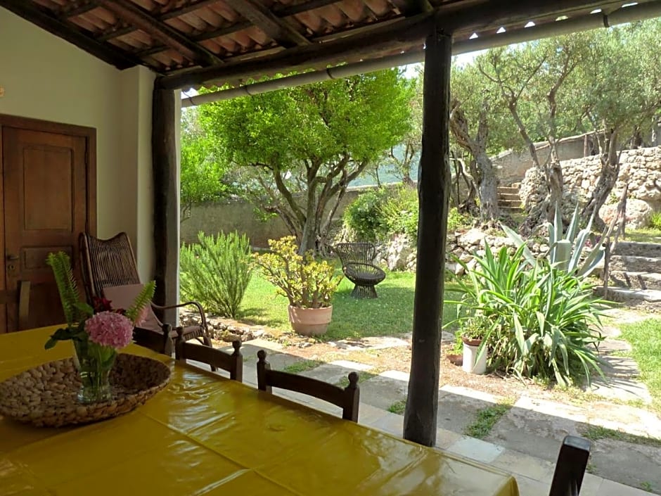 Casa Puccini B&B Maratea