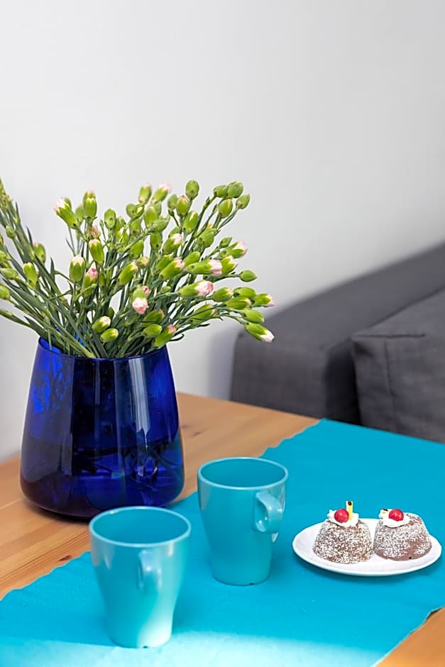 OLECKI Holiday House