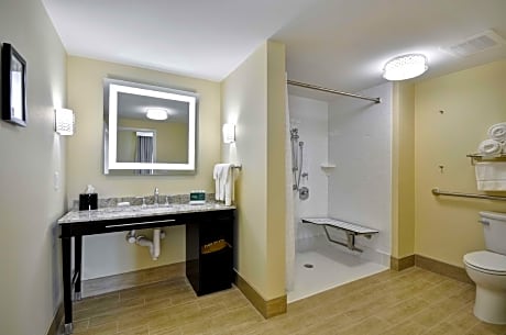 1 King Accessible Roll-In Shower Suite Non-Smoking