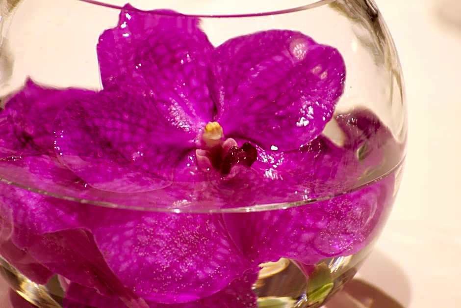 Casa Boyana Boutique Hotel