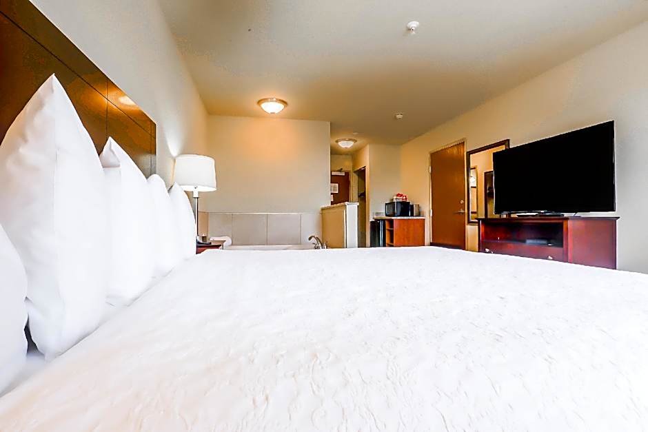 Evansville Inn & Suites by OYO