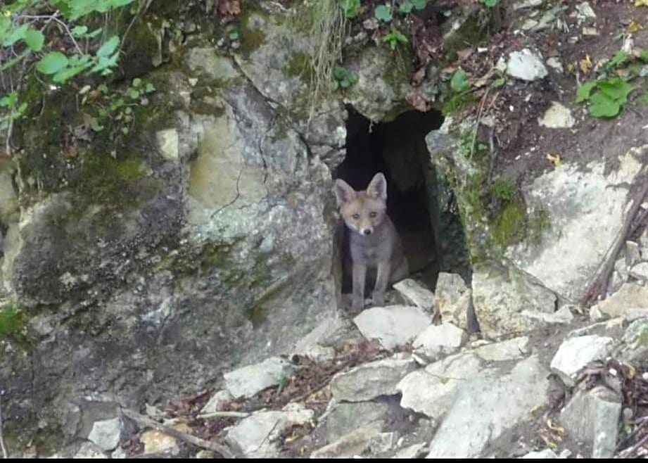 La Stella Danzante B&B