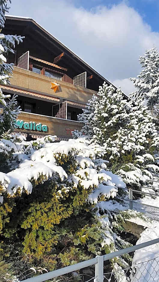 Hotel Walida