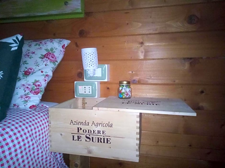 La Tana dello Scoiattolo - Adults Only