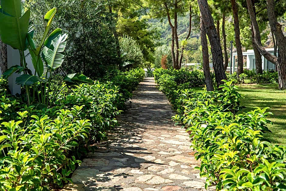 Z-Villas Beach Hotel