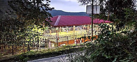 chakrata green hotel and camping