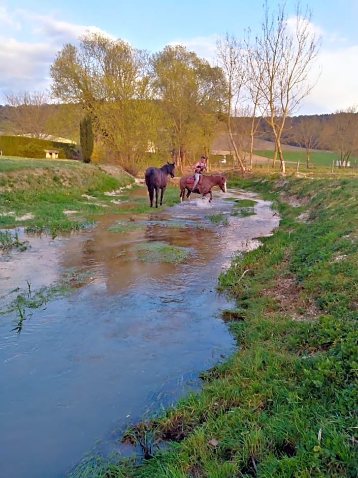 l'échappée belle en Champagne