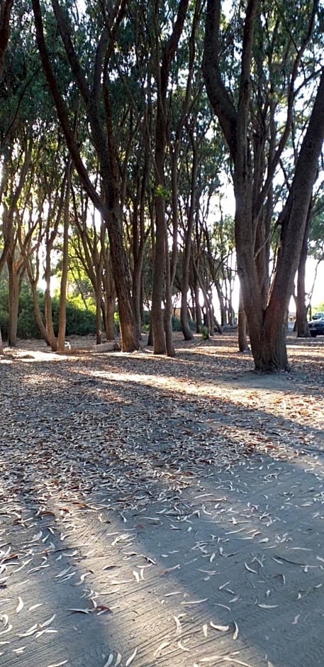 MAISON D’HÔTE LES TORTUES -