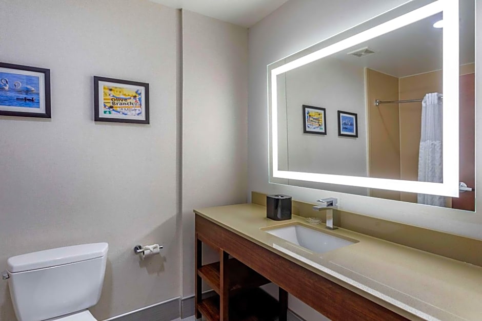 Comfort Suites Olive Branch