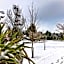 Alpine View Lodge