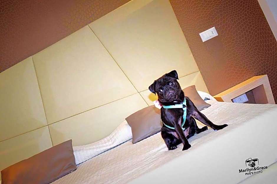 Hotel Principe