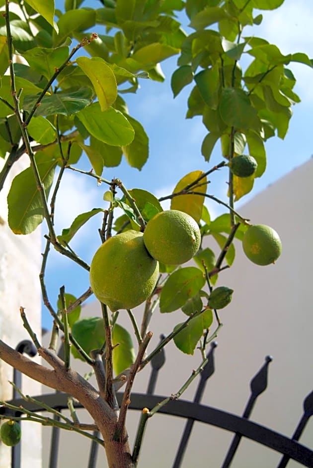 Palazzo Failla Hotel